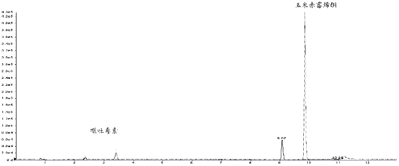 Method for measuring content of mycotoxins in araliaceae plants by liquid chromatography-tandem mass spectrometry