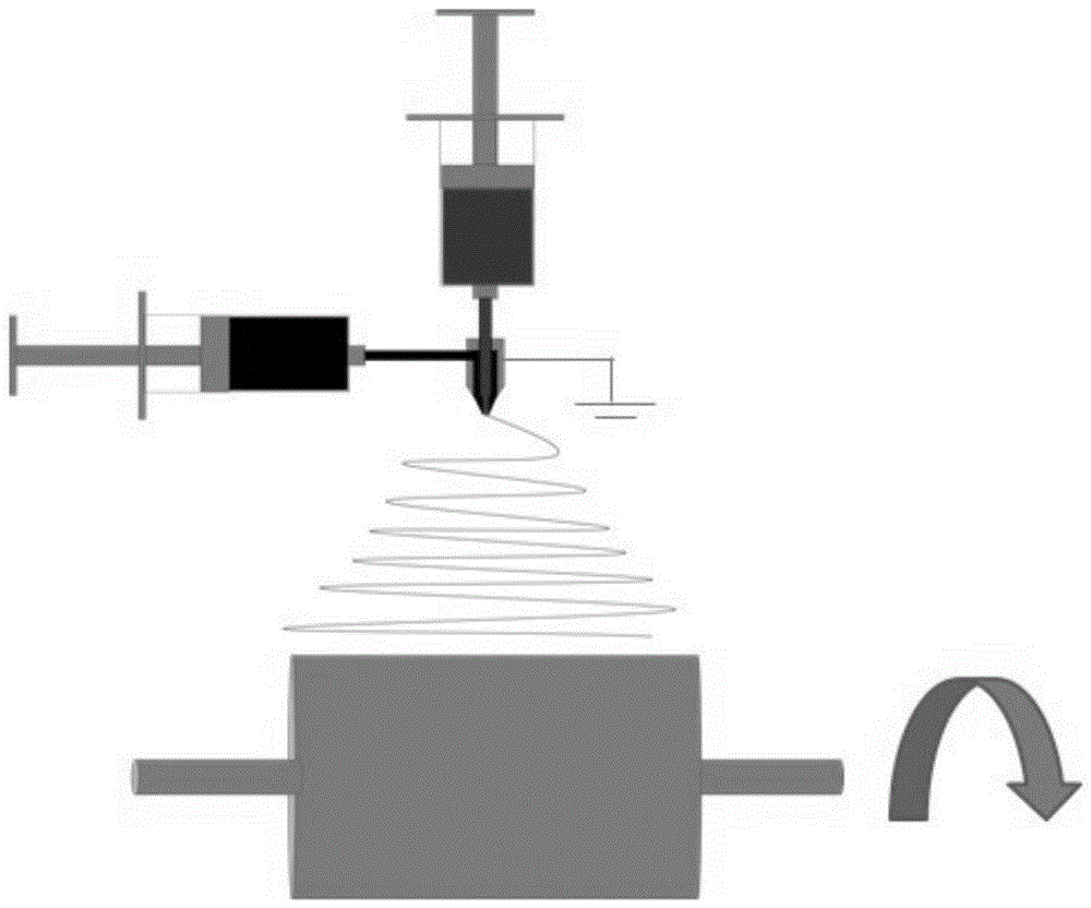 Preparation method of conductive slow-release nerve tissue engineering scaffold