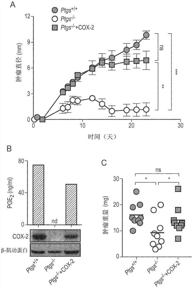 Prognostic and treatment response predictive method