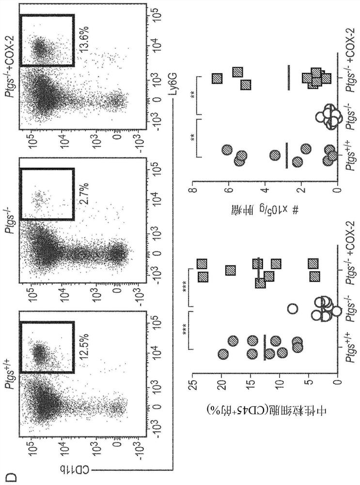 Prognostic and treatment response predictive method