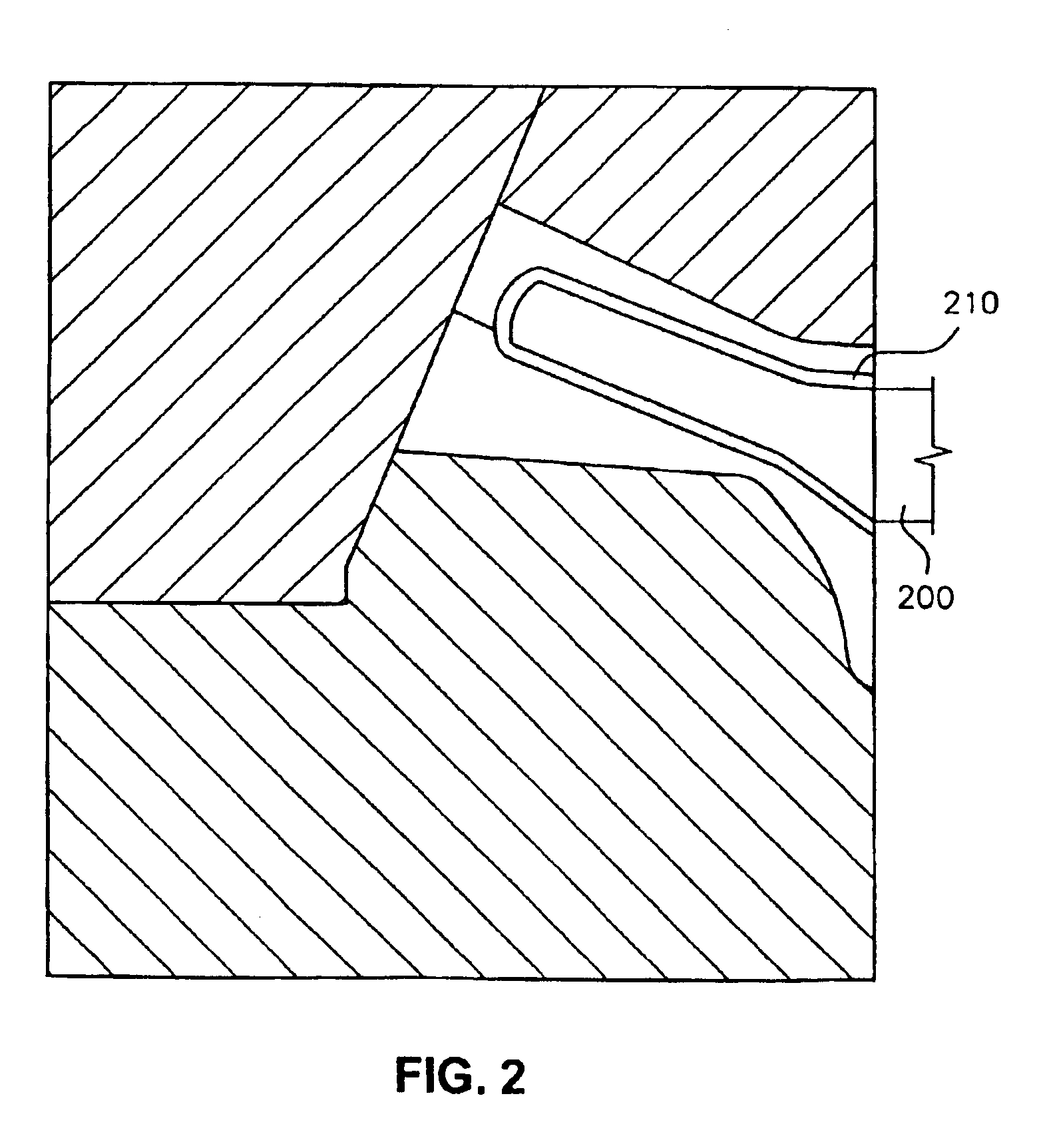 Parison and blow molding method for bottle having undercut