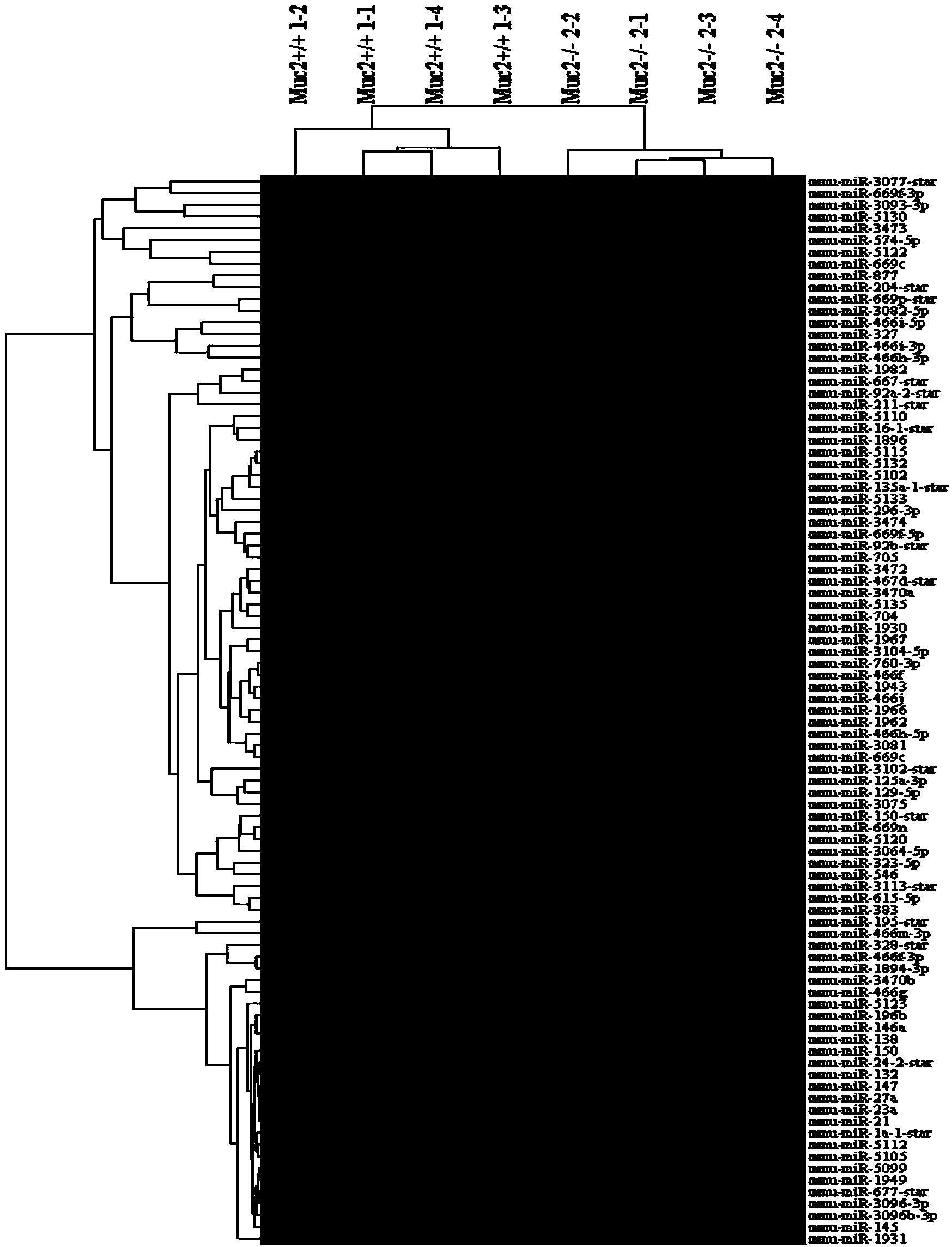 miRNA marker related to malignant transformation of colitis and proctitis and kit