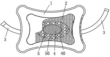 Novel car seat back cushion containing honeysuckle extracts and car using back cushion