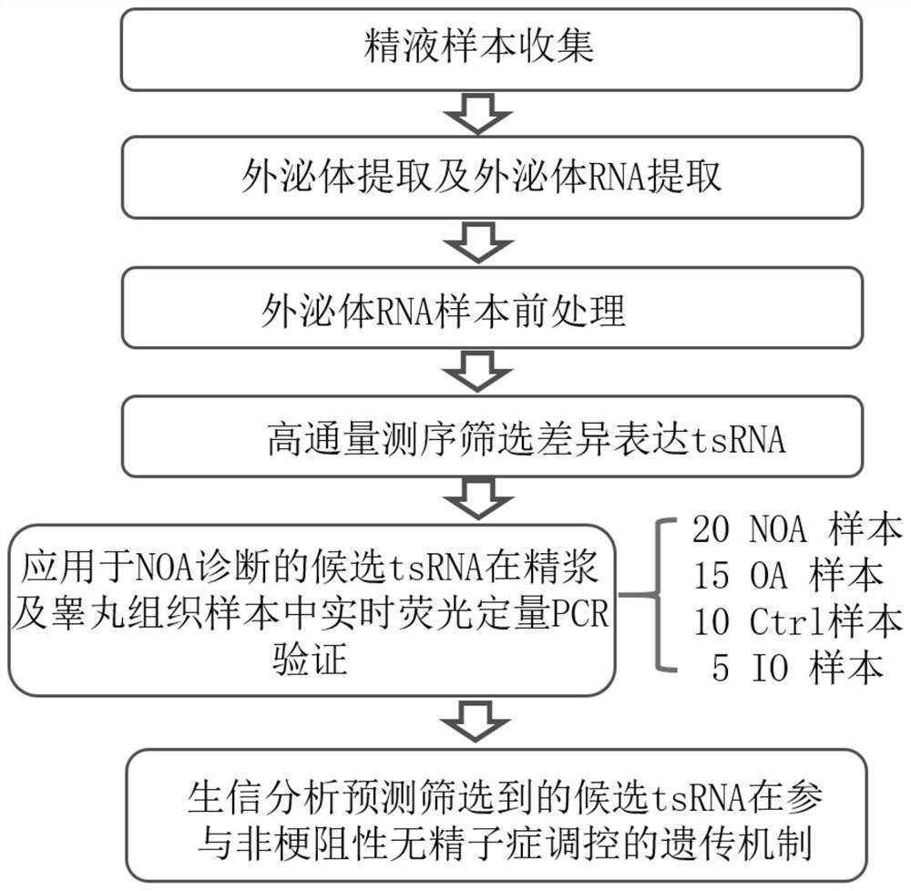 A seminal exosomal tsRNA marker associated with the diagnosis of non-obstructive azoospermia and its application