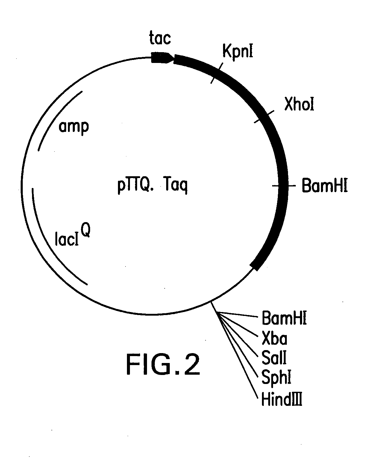 Mutant DNA polymerases and uses thereof