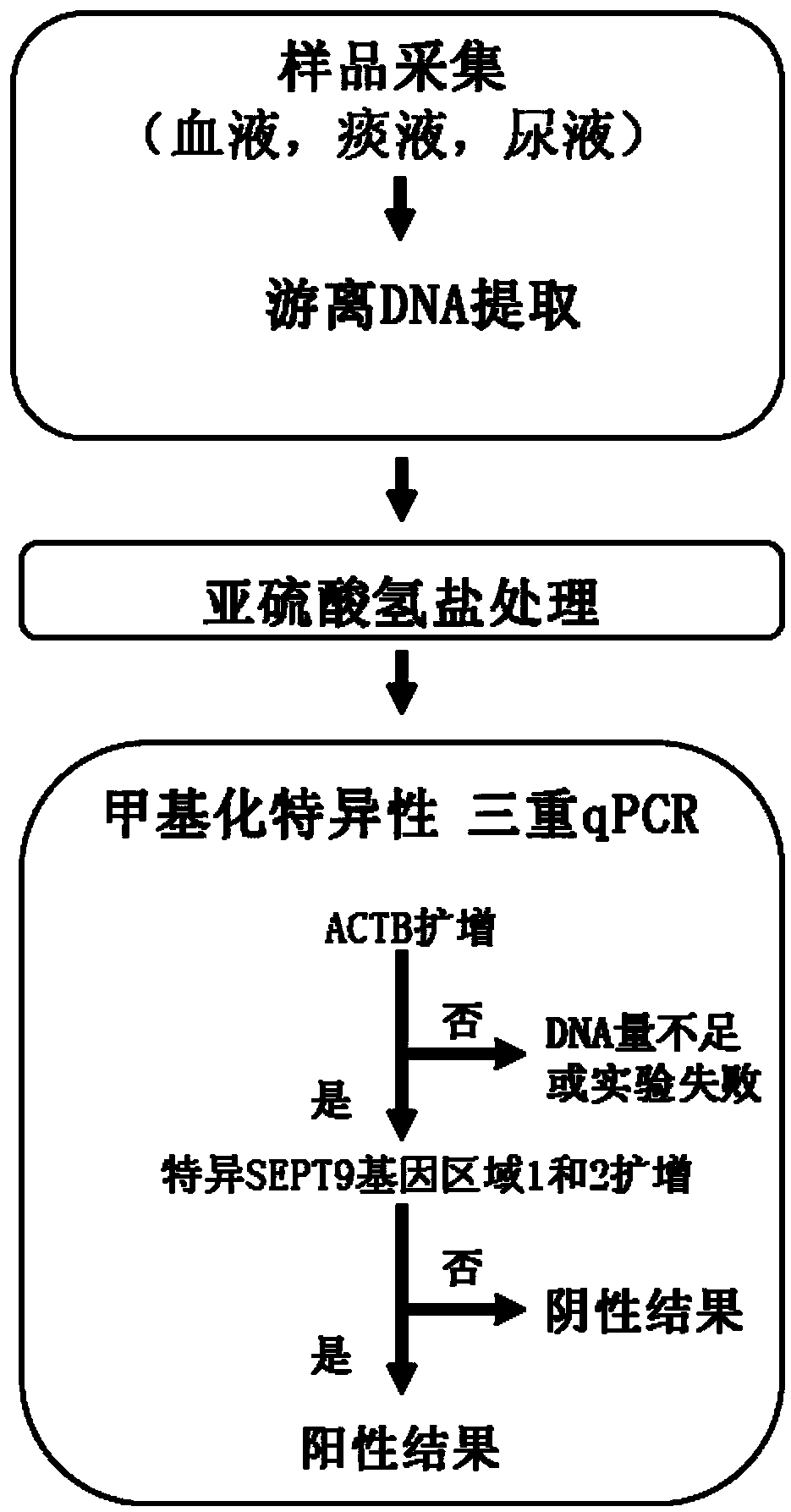 Kit and method for detecting DNA methylation by triplex qPCR assay