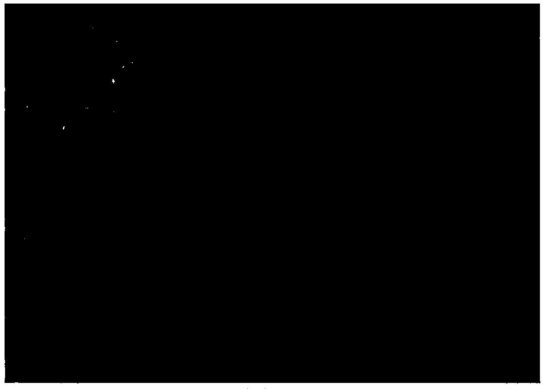 Preparation method of luminescence rare earth coordination polymer nanoparticles