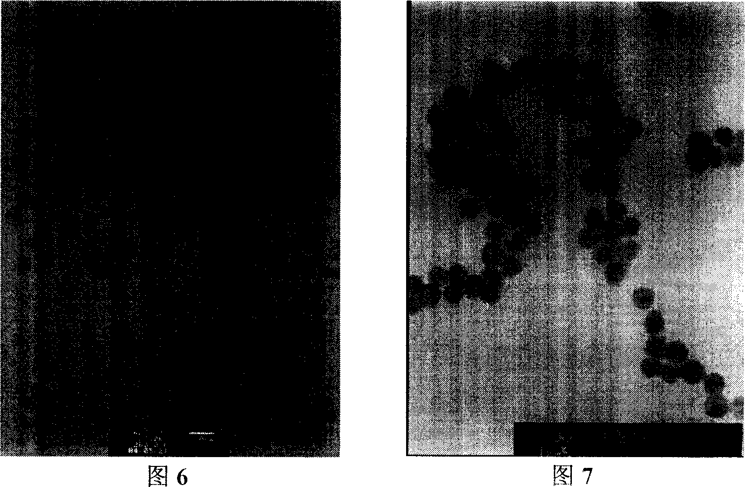 Process for nano colloid gold for immune detection and reaction apparatus therefor