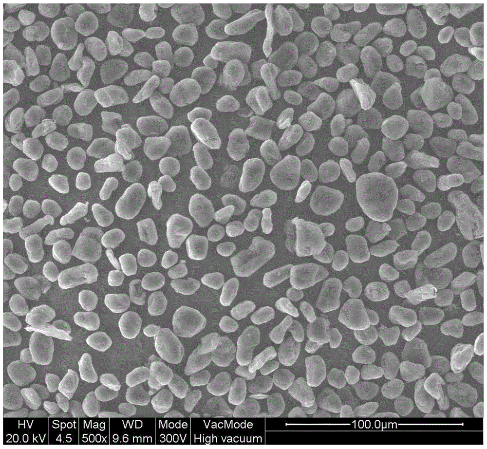 Graphite negative electrode material of lithium-ion battery and preparation method of graphite negative electrode material