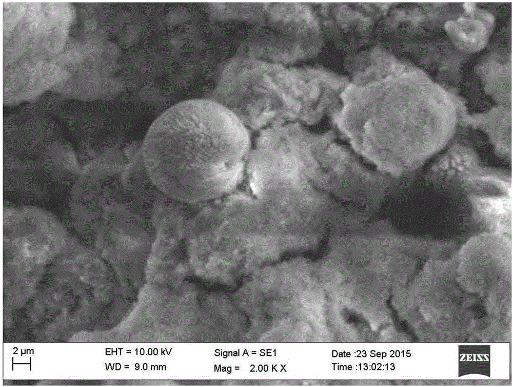 Method for preparing magnesium alloy super-hydrophobic surface resistant to biological fluid corrosion