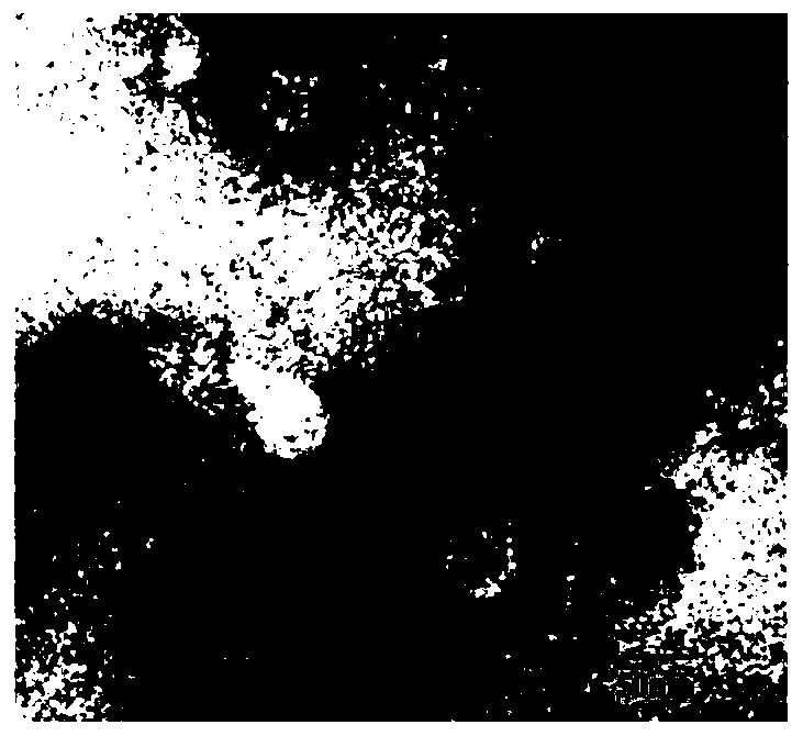 Bacteriophage pAhMJG and application of bacteriophage pAhMJG in treatment of fish diseases caused by aeromonas hydrophila