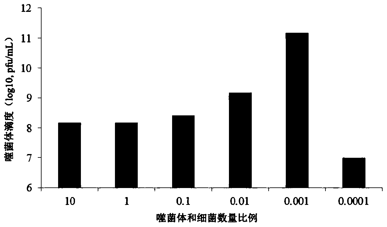 Bacteriophage pAhMJG and application of bacteriophage pAhMJG in treatment of fish diseases caused by aeromonas hydrophila