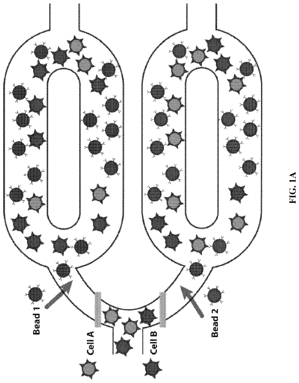 Multi-stage, multiplexed target isolation and processing from heterogeneous populations