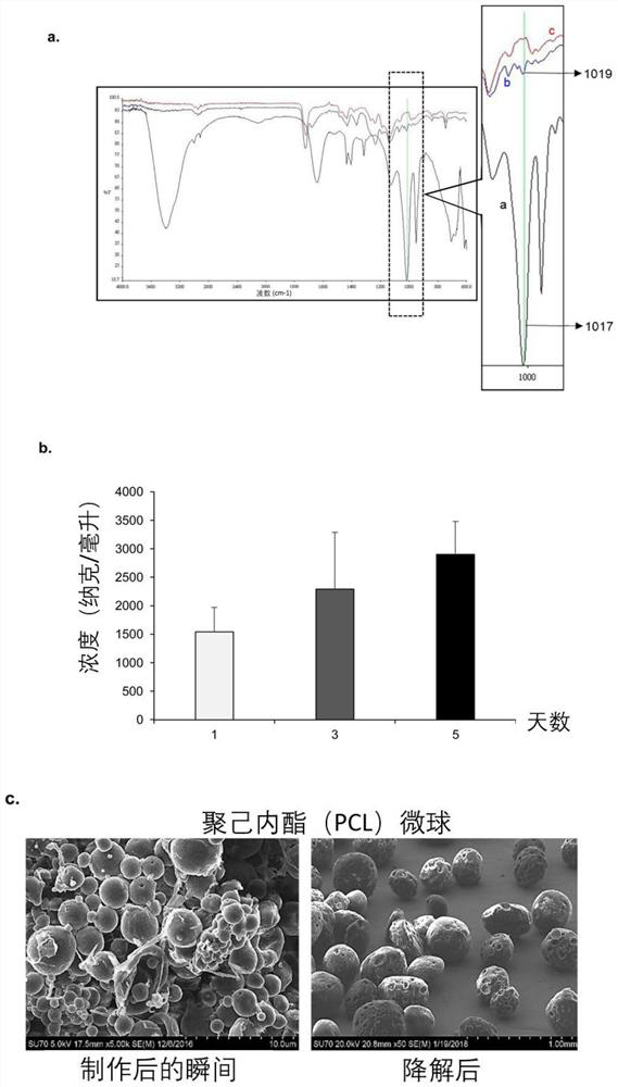 Functionalized prosthetic interfaces for prevention and treatment of dental conditions