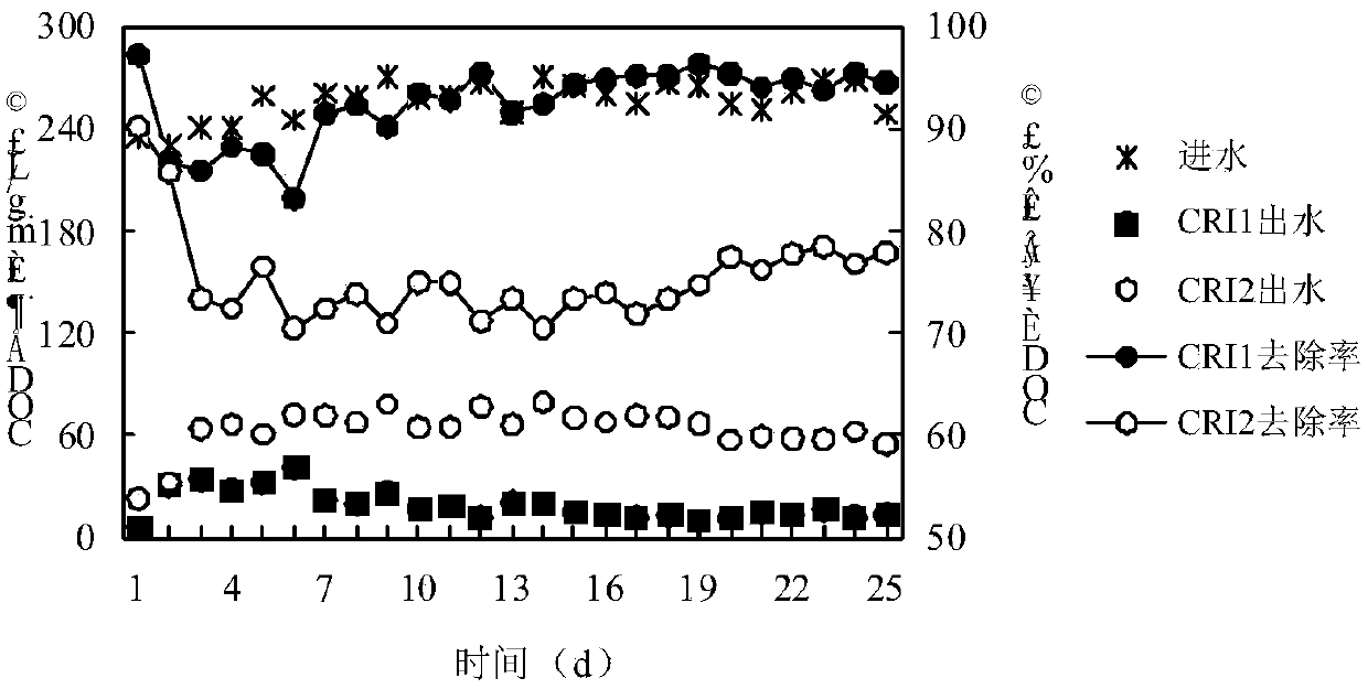 An artificial rapid percolation system for enhanced denitrification