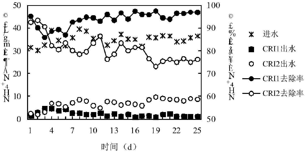 An artificial rapid percolation system for enhanced denitrification