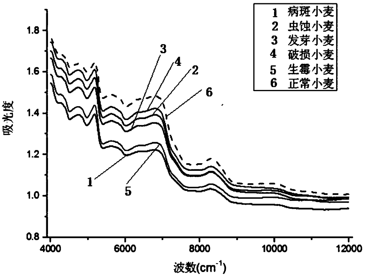 Quick non-destructive judging method for unsound grains of single kernel crop