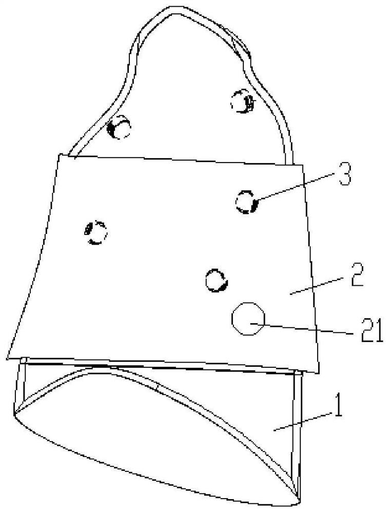 Holographic thoracoscope system