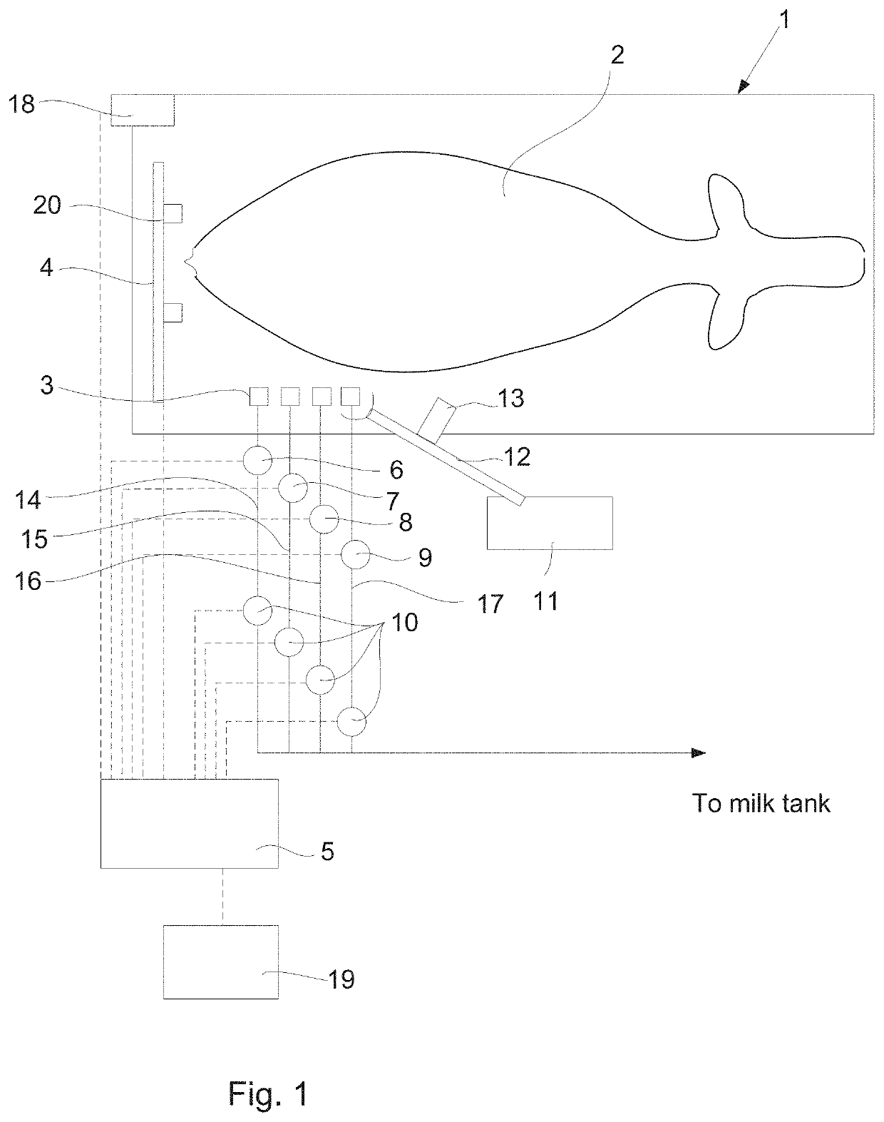 Animal hoof cleaning system and a method of cleaning an animals hoofs