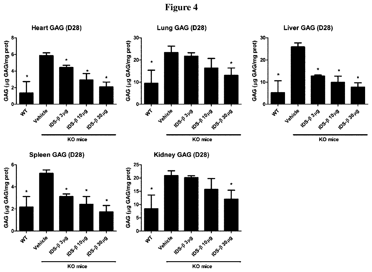 Methods and compositions for treating hunter syndrome