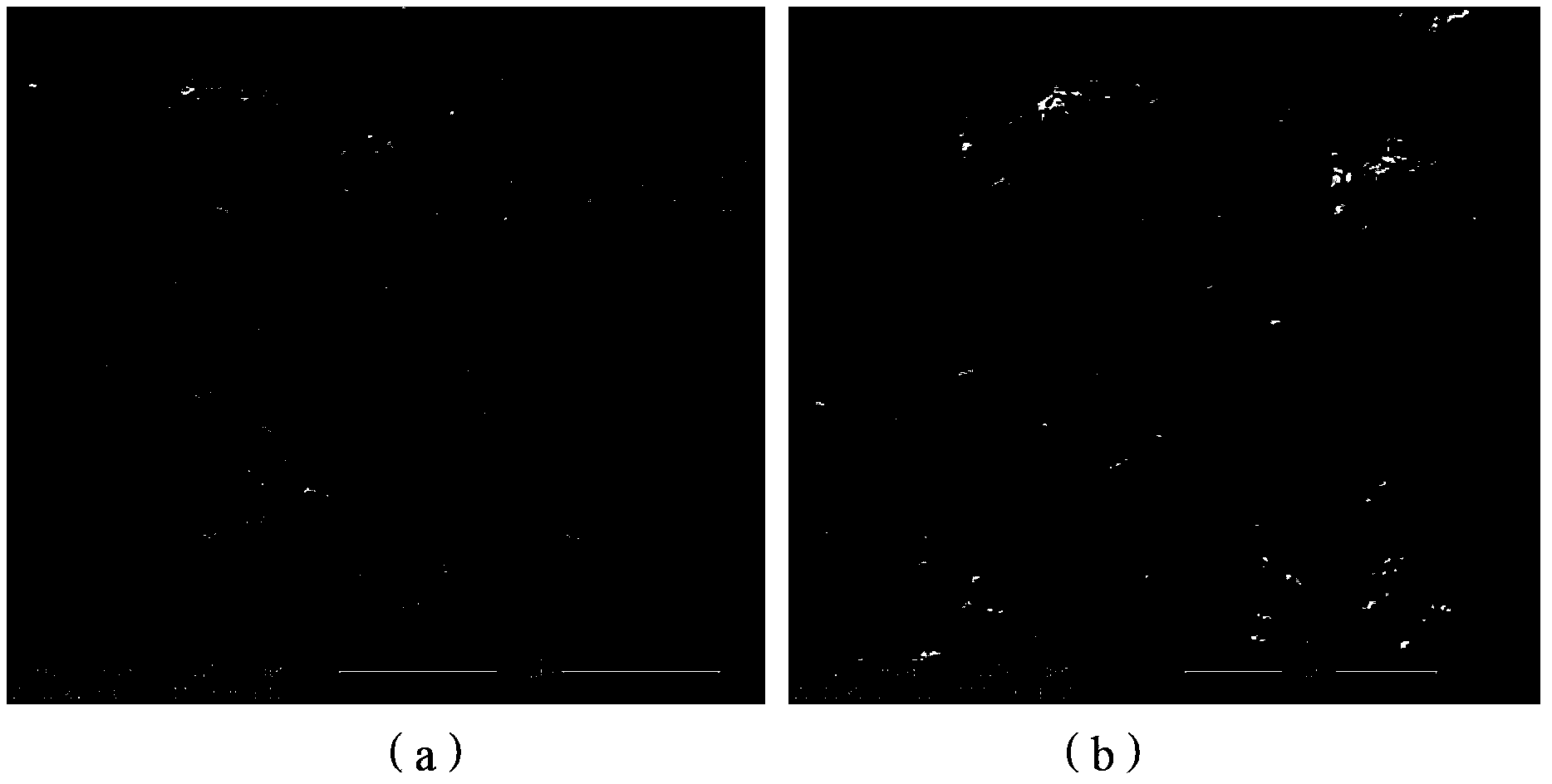 Precious metal-doped WO3 gas-sensitive coating and preparation method thereof