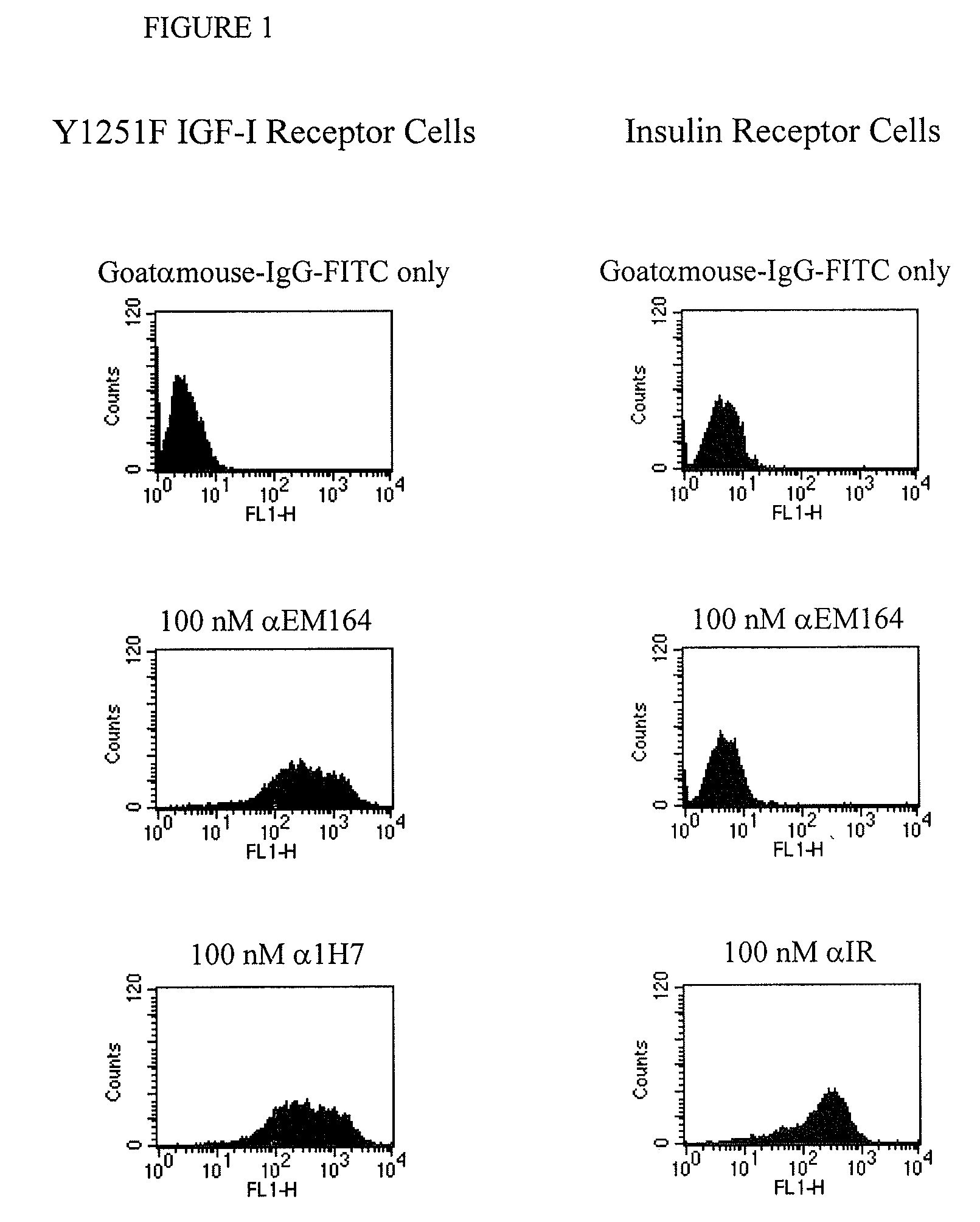 Anti-igf-i receptor antibody