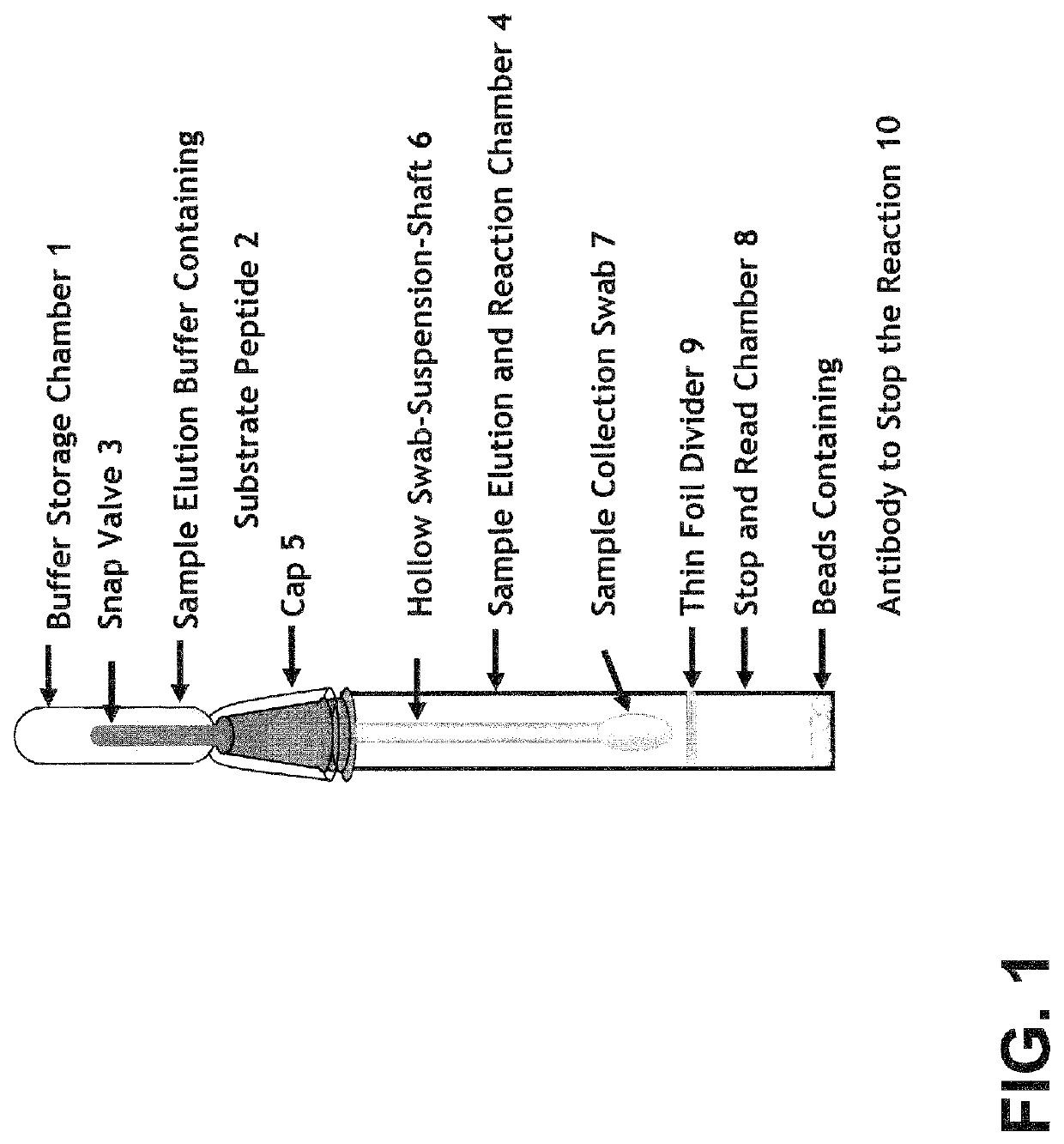 Rapid bed-side measurement of neutrophil elastase activity in biological fluids