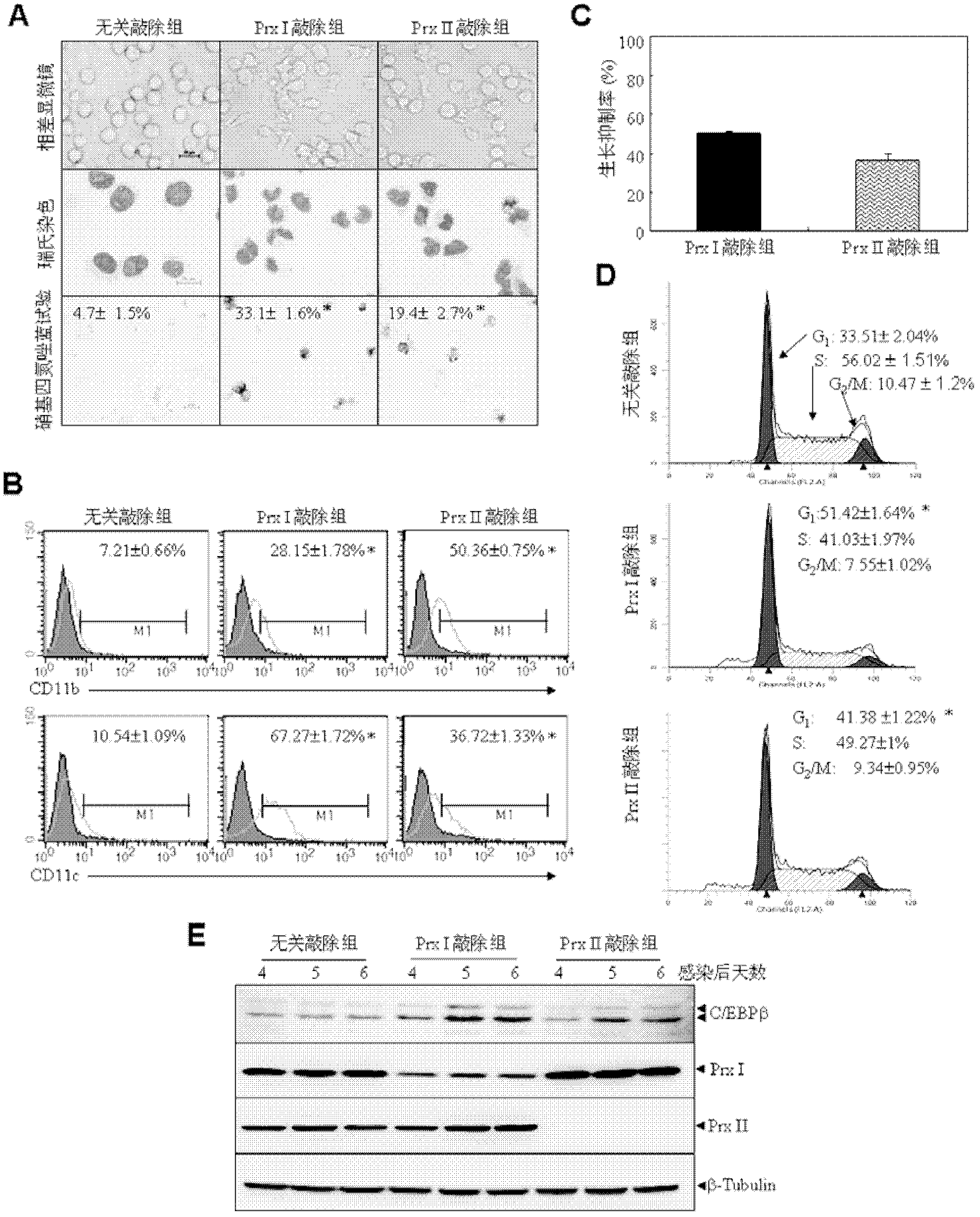 Medicament target for treating acute promyelocytic leukemia and inhibitor thereof