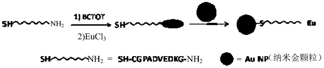 A bifunctional nanoprobe based on lanthanide metals and its preparation method and application