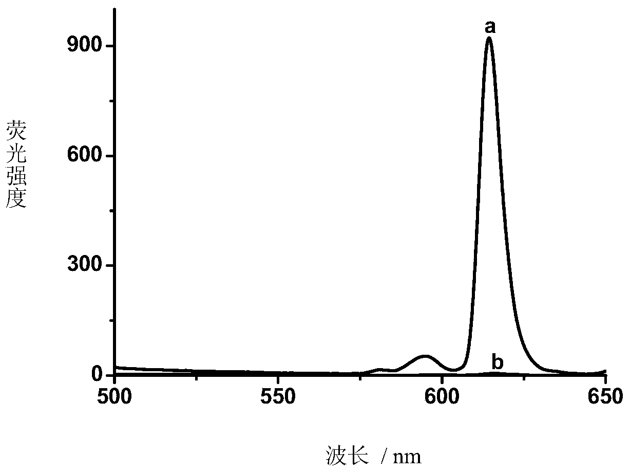 A bifunctional nanoprobe based on lanthanide metals and its preparation method and application