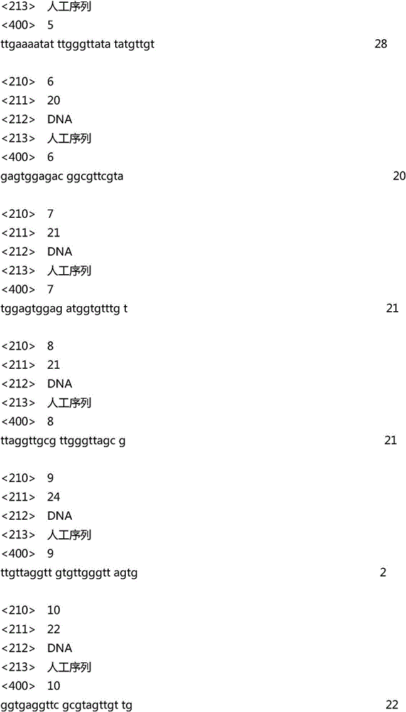 Primer and probe for detecting methylation levels of BMP3 and NDRG4 in biological sample