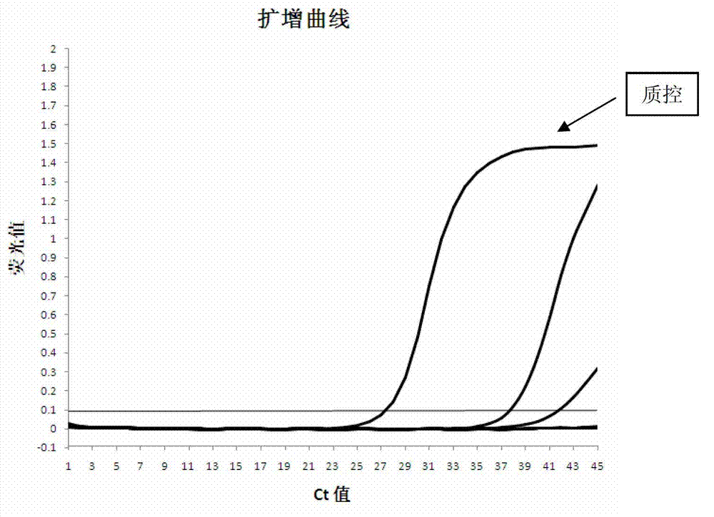 KRAS gene mutation detection kit and detection method