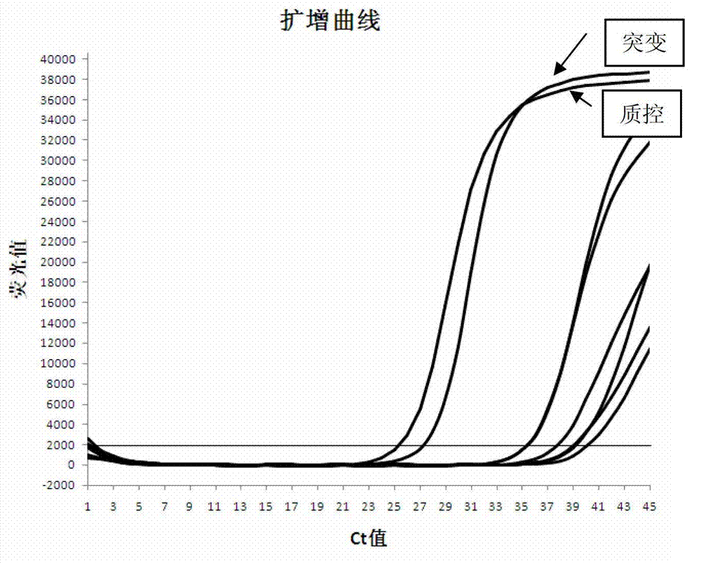 KRAS gene mutation detection kit and detection method