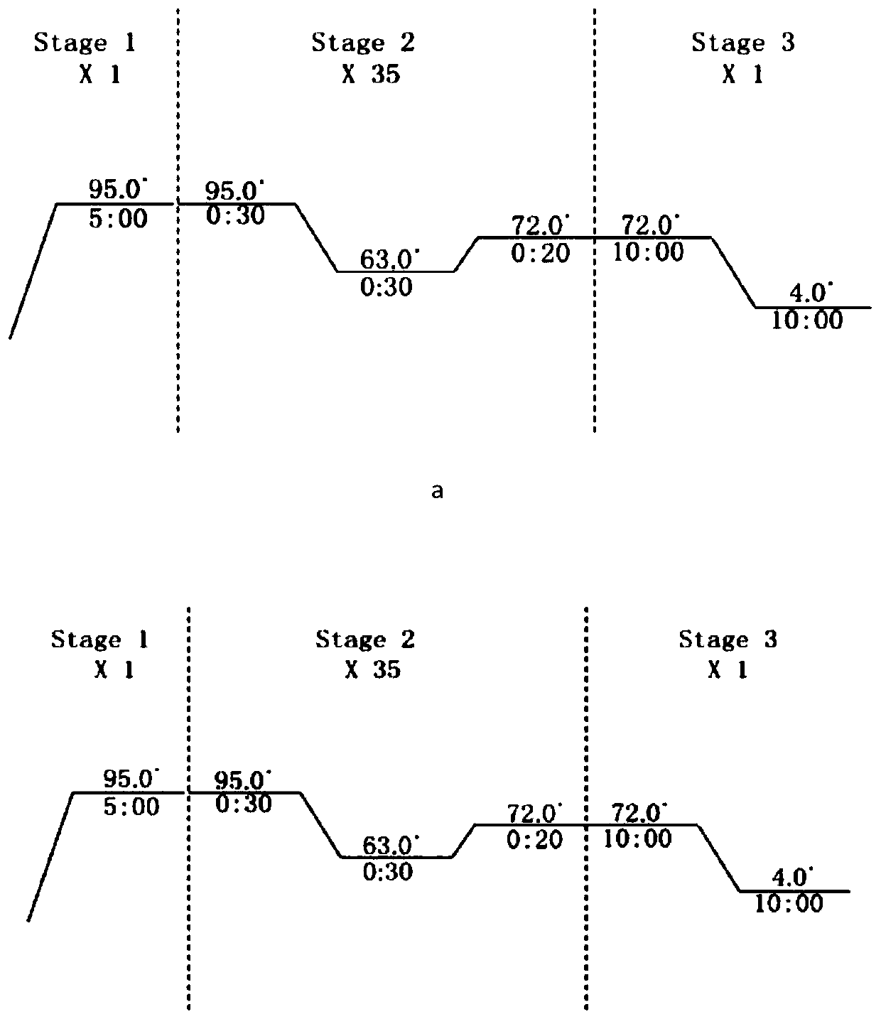 A fusion protein for screening weak mdmx inhibitors or testing the inhibitory activity of weak mdmx inhibitors