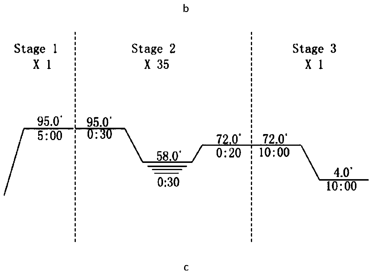 A fusion protein for screening weak mdmx inhibitors or testing the inhibitory activity of weak mdmx inhibitors