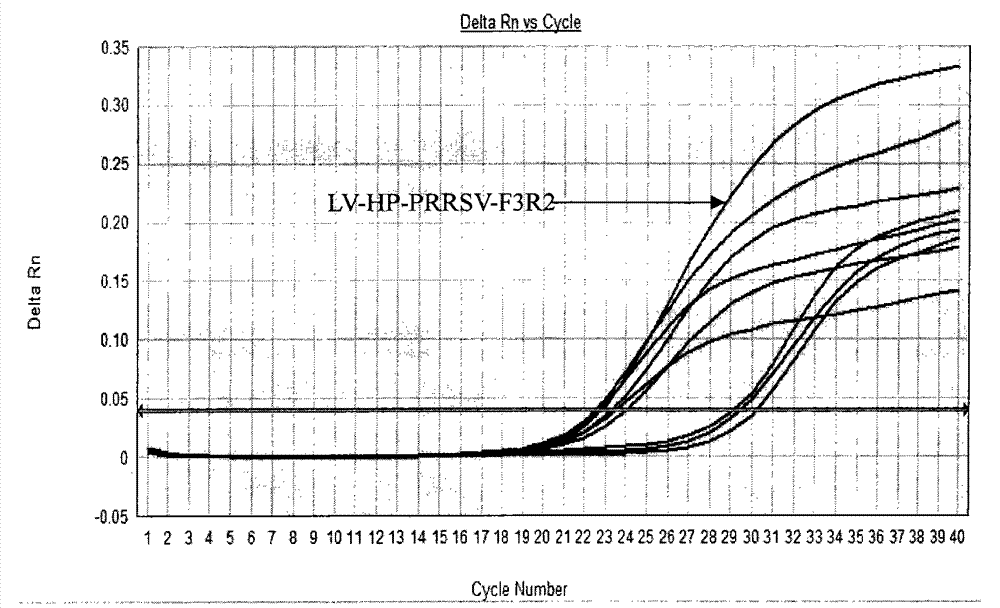 Real-time fluorescence reverse transcription-polymerase chain reaction (RT-PCR) detection method and kit for highly pathogenic porcine reproductive and respiratory syndrome live vaccine