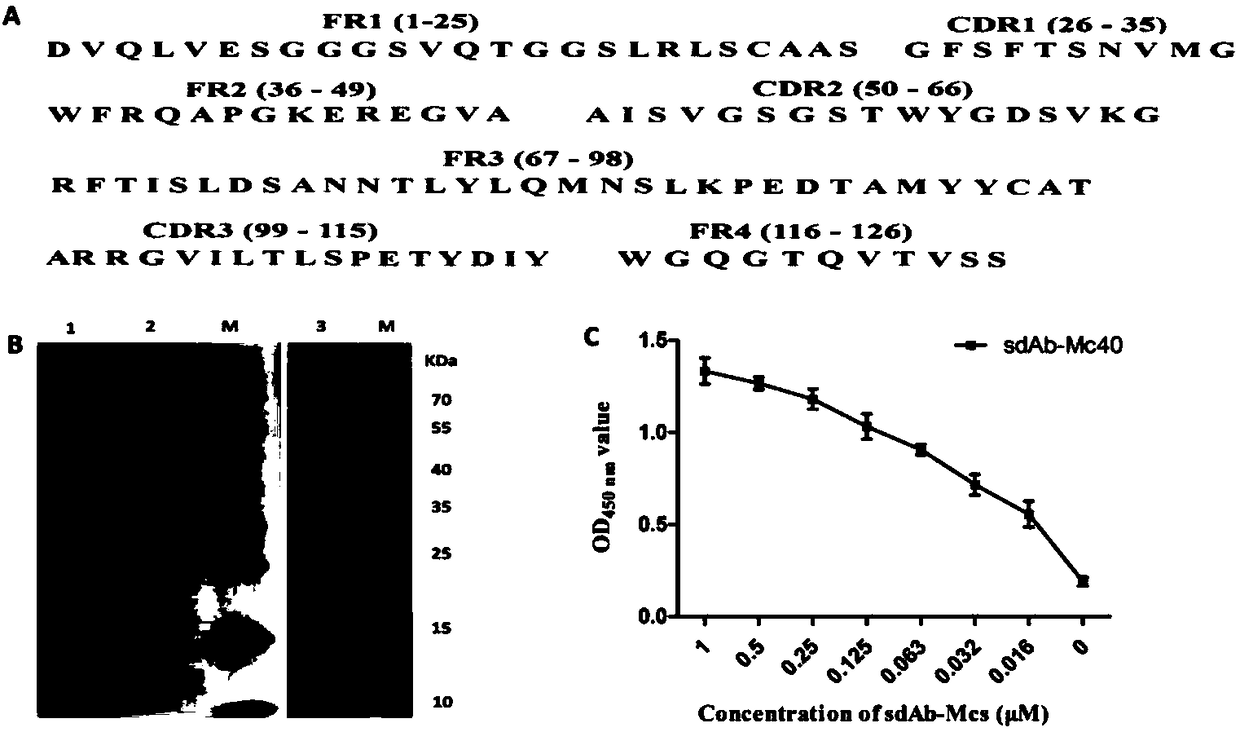 Virus isolation method for low-content sample of porcine epidemic diarrhea virus (PEDV)