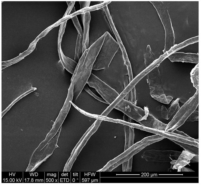 An environmentally friendly polymer composite self-repairing waterproof material and its preparation method