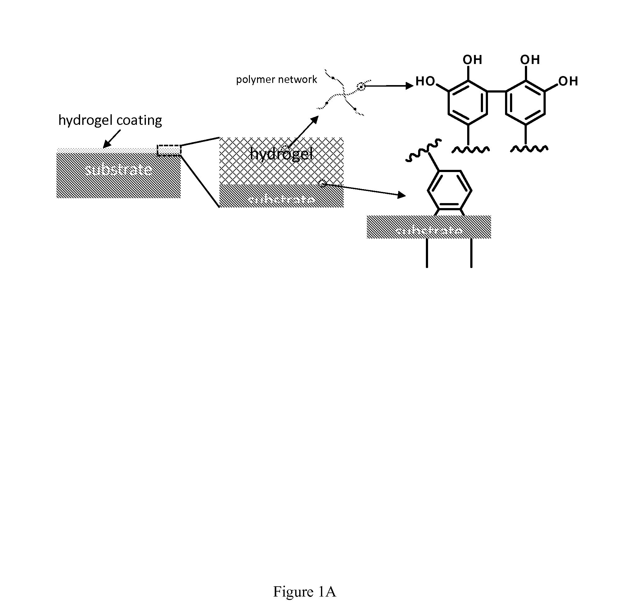 Antifouling hydrogels, coatings, and methods of synthesis and use thereof