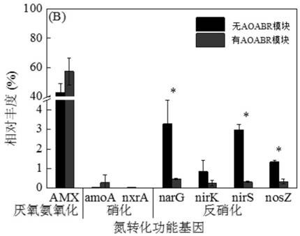 A sewage treatment system and method for strengthening domestic sewage anaerobic ammonium oxidation denitrification and simultaneous phosphorus removal