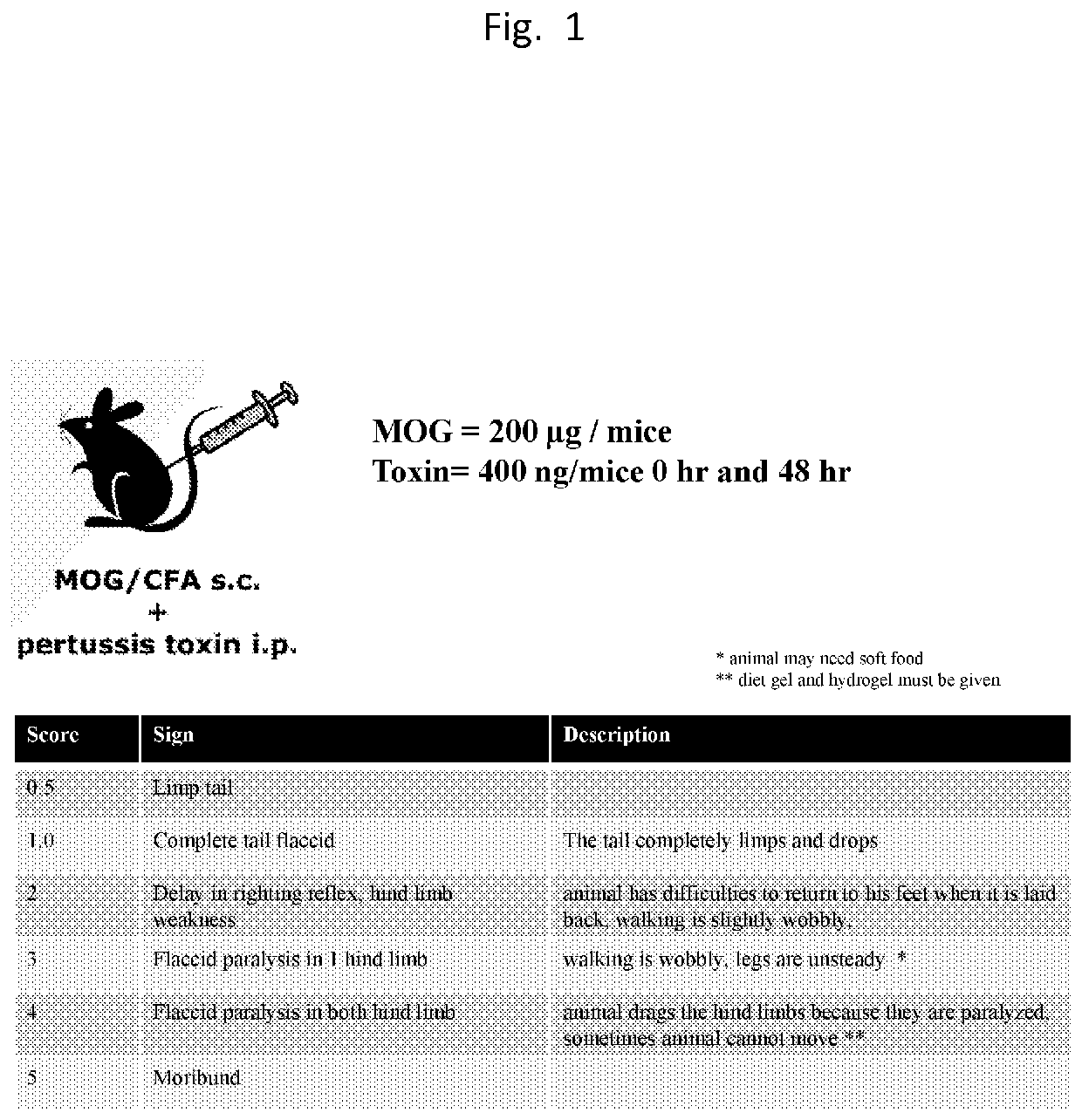 Central nervous system homing peptides and uses thereof