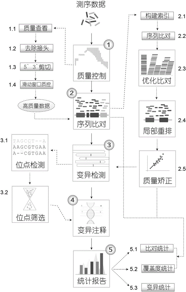 Detection analysis method for breast cancer susceptibility gene heritable variation point