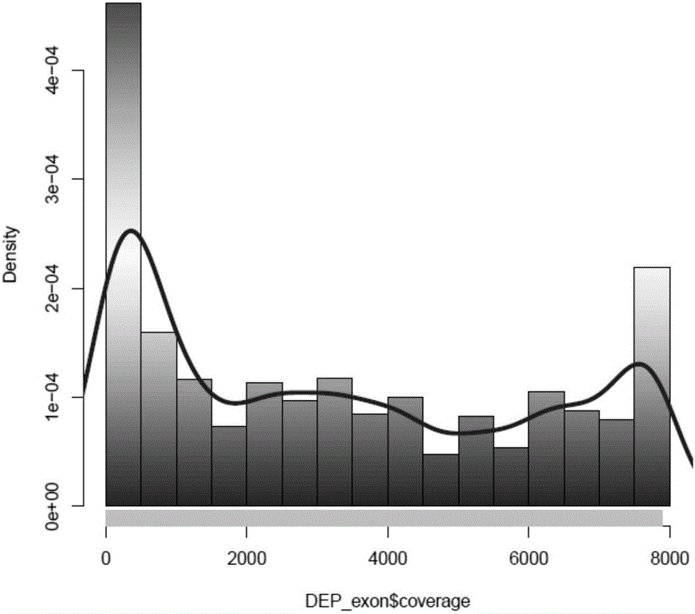 Detection analysis method for breast cancer susceptibility gene heritable variation point