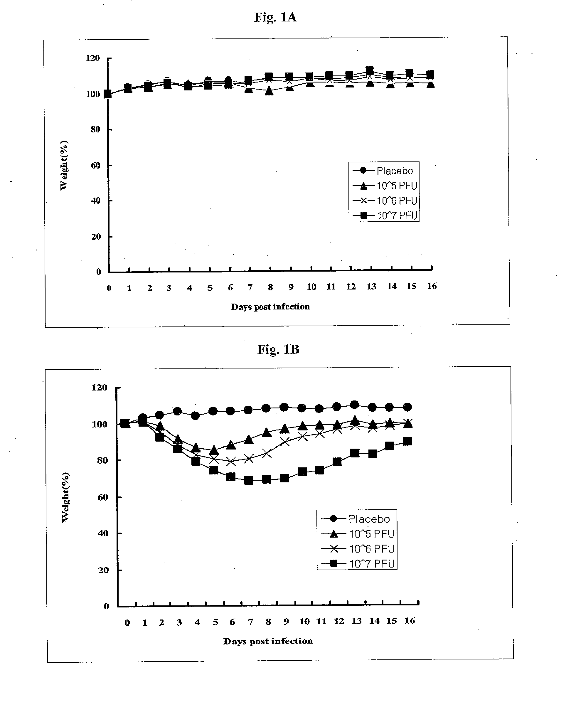 Attenuated influenza virus and a live vaccine comprising the same