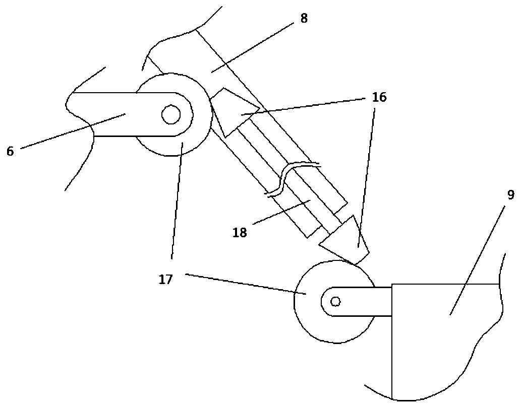 Graded collecting equipment of edible mushrooms