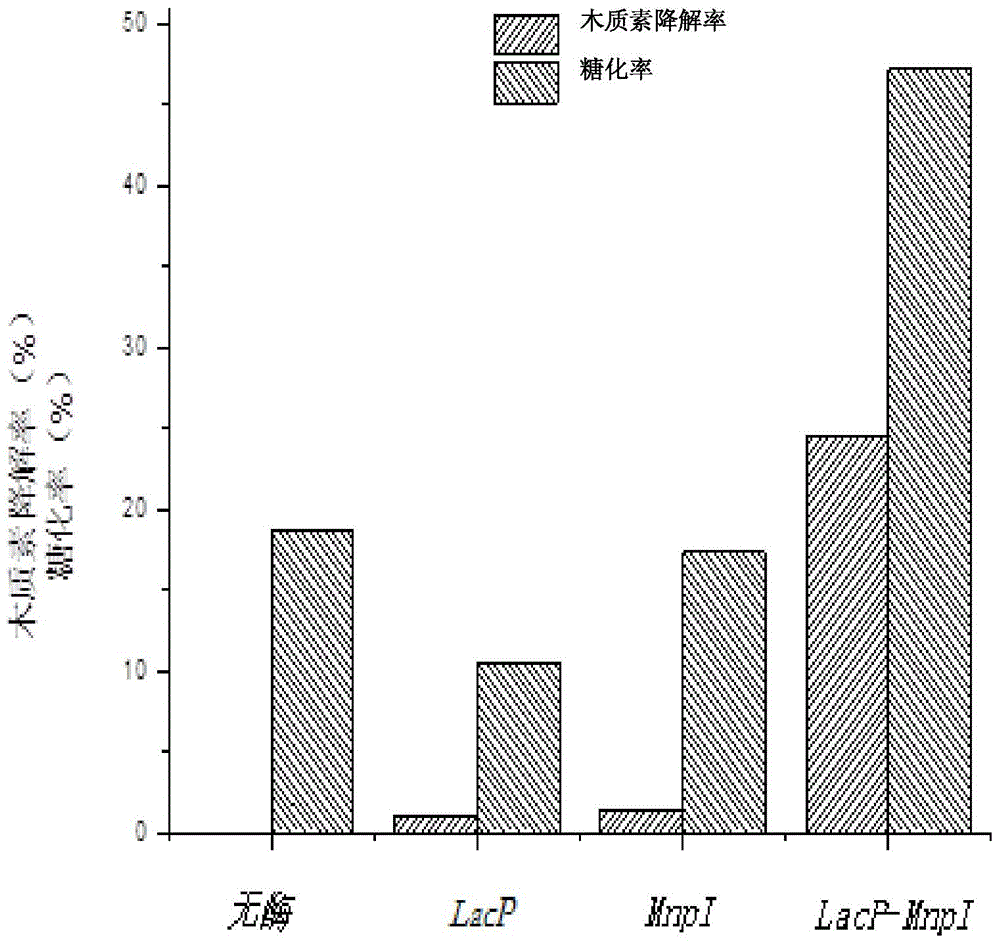 Lignin degradation solution and preparation method thereof as well as method for degrading lignin by using lignin degradation solution