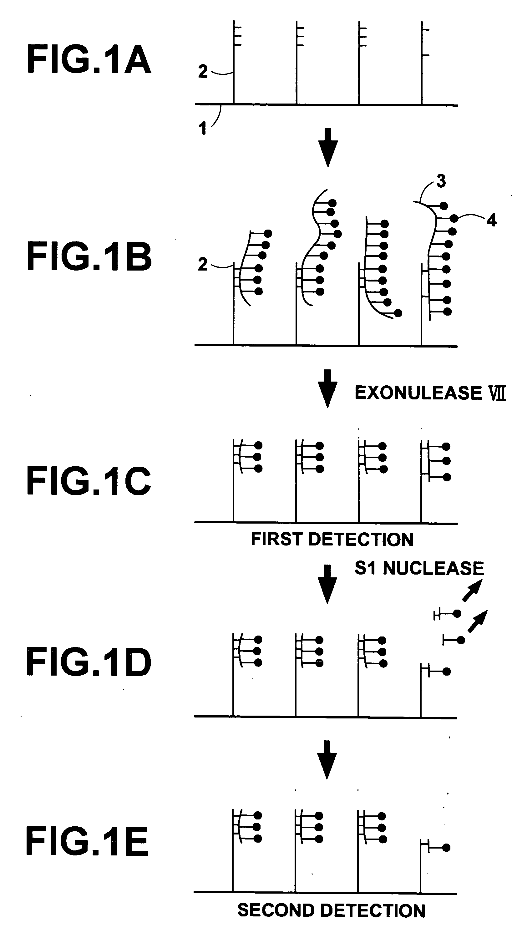 Method of detecting mismatching regions