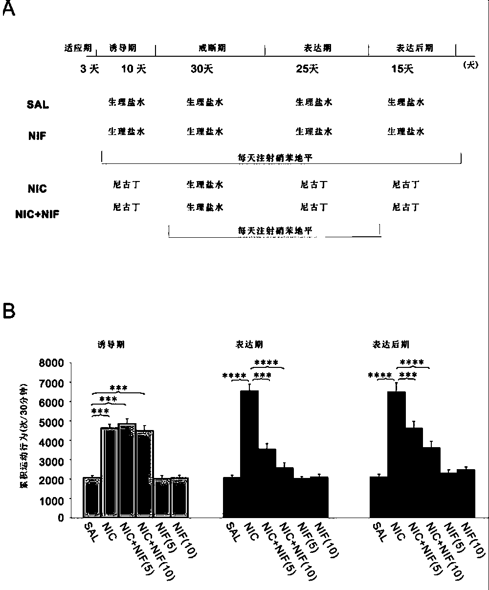 New use of drug nifedipine