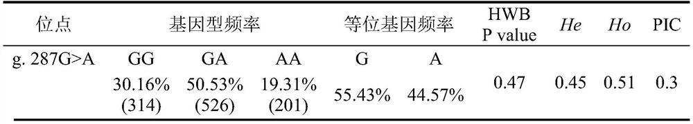 Hu sheep PLIN2 gene SNP detection method and application of Hu sheep PLIN2 gene SNP detection method in meat quality character early screening