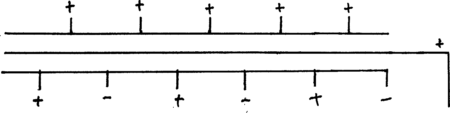 Chain-structured electric net for blocking whitebait